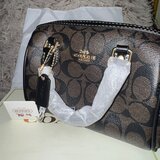 Geanta Coach Leather